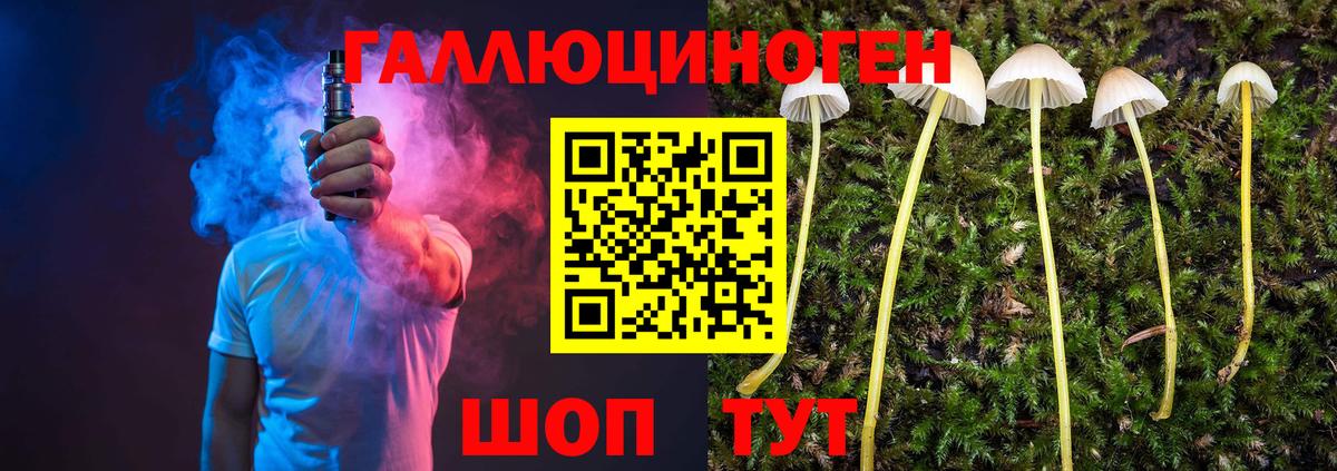 где продают   Вход с VPN  Елабуга  Галлюциногенные грибы MAGIC MUSHROOMS 